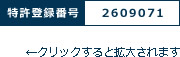 特許登録番号