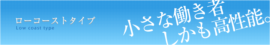 ローコーストタイプ